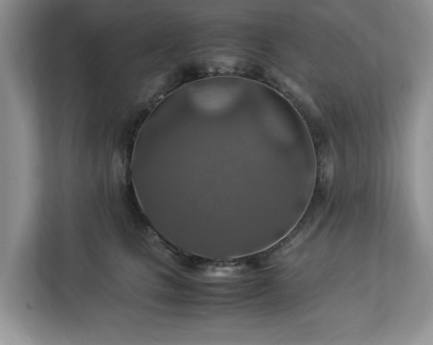 X0000112950661200908241344