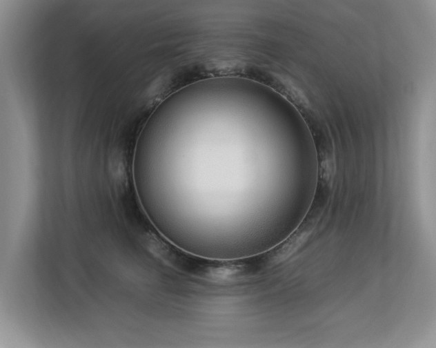 X0000112950662200908241344