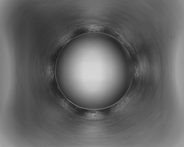 X0000112950666200908241344