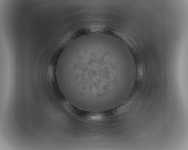 X0000112950667200908241344