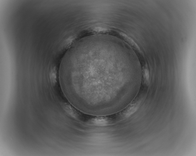 X0000112950668200908241344