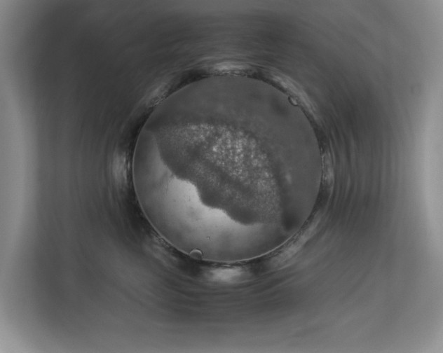 X0000112950669200908241344