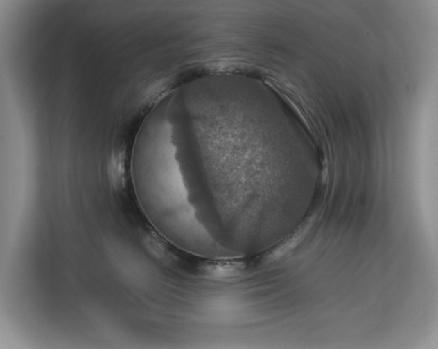 X0000112950670200908241344