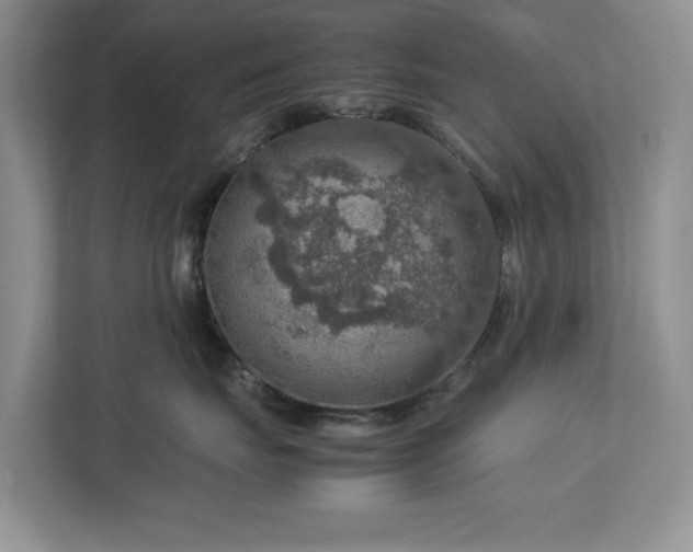 X0000112950671200908241344