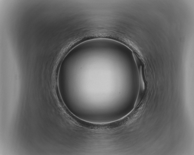 X0000112950673200908241343