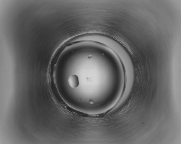 X0000112950676200908241343