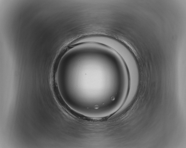 X0000112950677200908241343