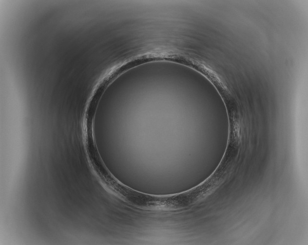 X0000112950678200908241343