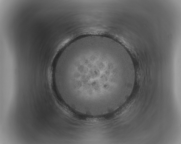 X0000112950679200908241343