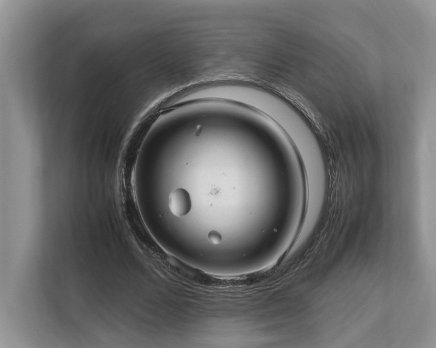 X0000112950680200908241343