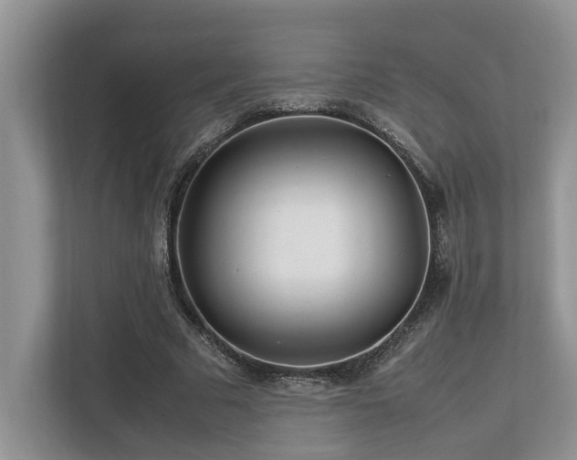 X0000112950681200908241343