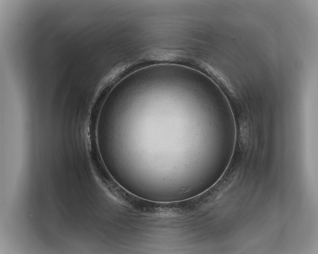 X0000112950682200908241343