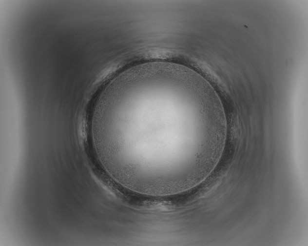 X0000112950683200908241343