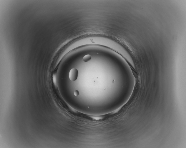 X0000112950684200908241343