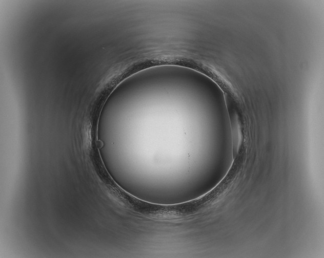 X0000112950685200908241343