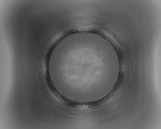 X0000112950687200908241343