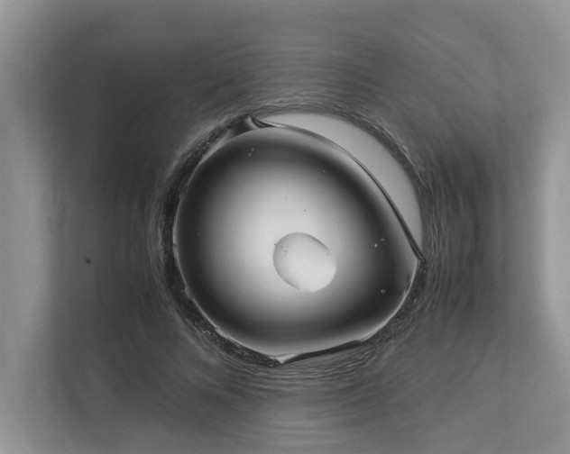 X0000112950688200908241343