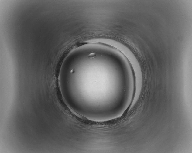 X0000112950689200908241343