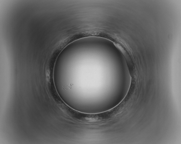 X0000112950693200908241343