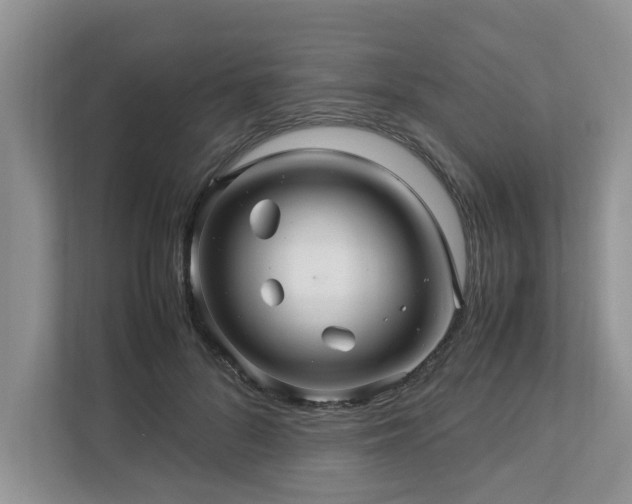 X0000112950696200908241343