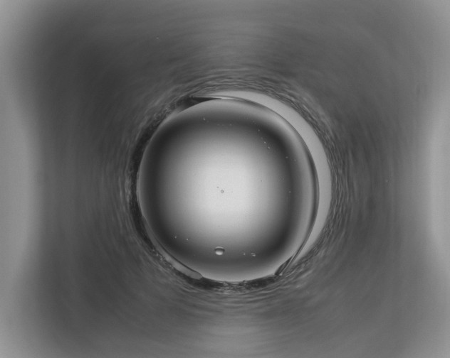 X0000112950697200908241343