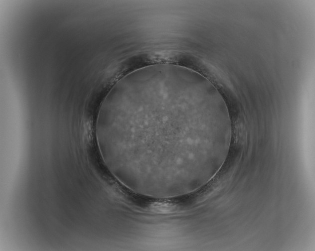 X0000112950699200908241343