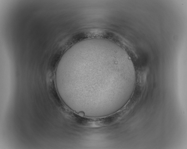 X0000112950701200908241343