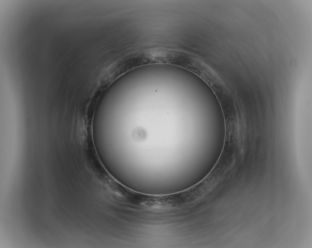 X0000112950702200908241343