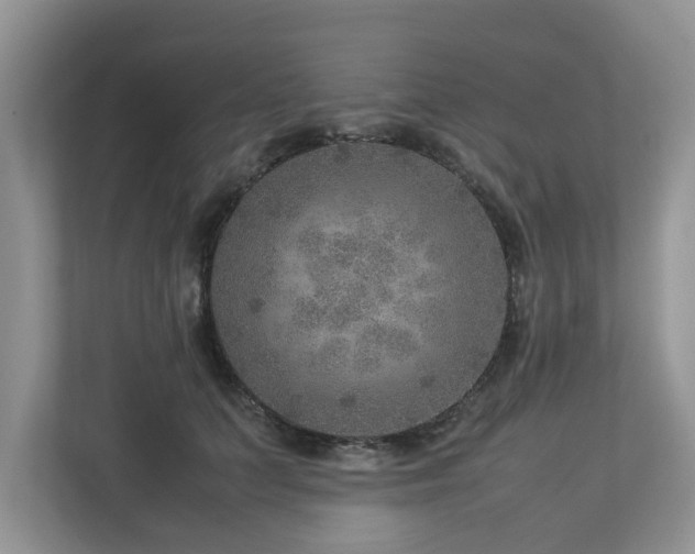 X0000112950703200908241343