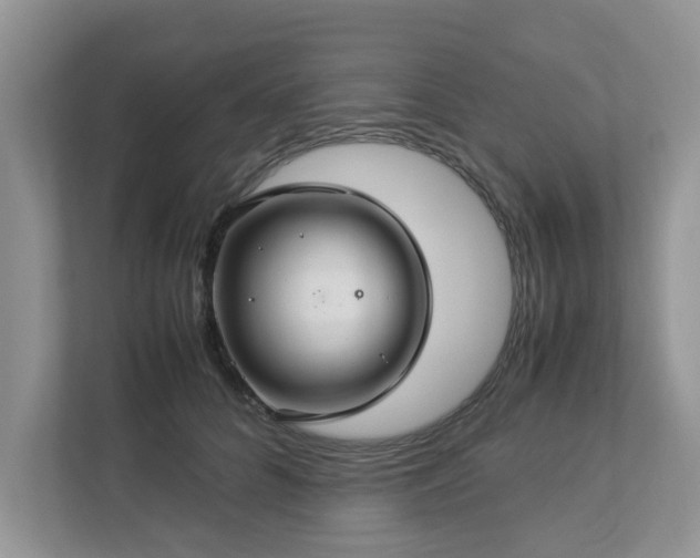 X0000112950704200908241343