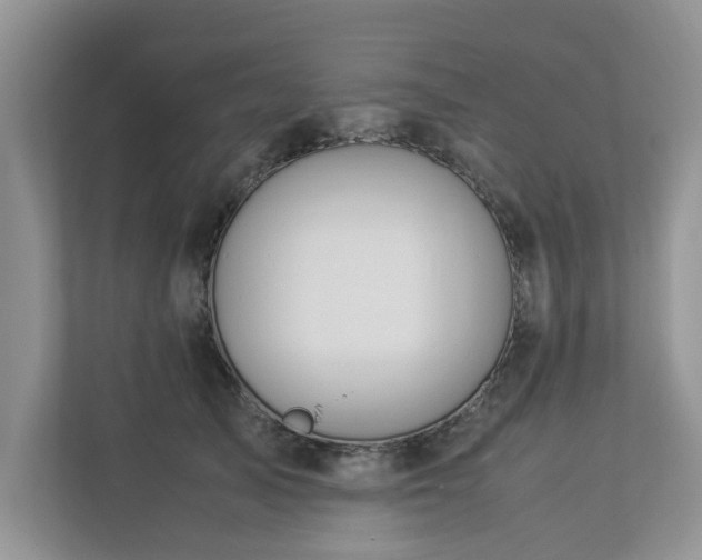 X0000112950705200908241343