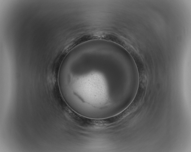 X0000112950707200908241343