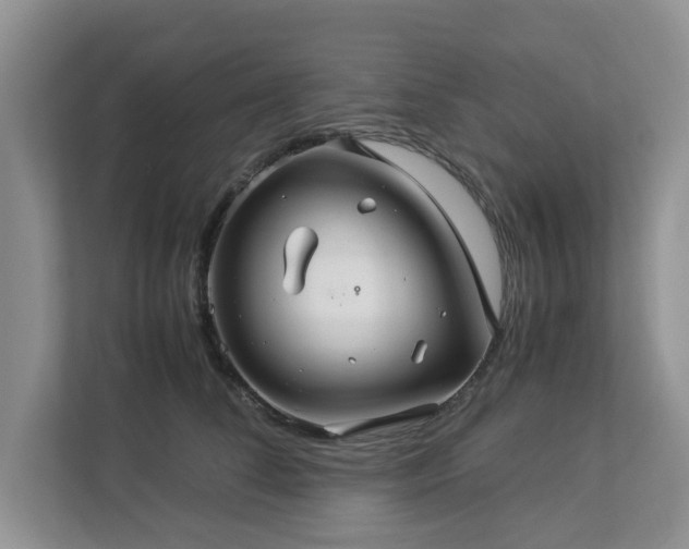 X0000112950708200908241343