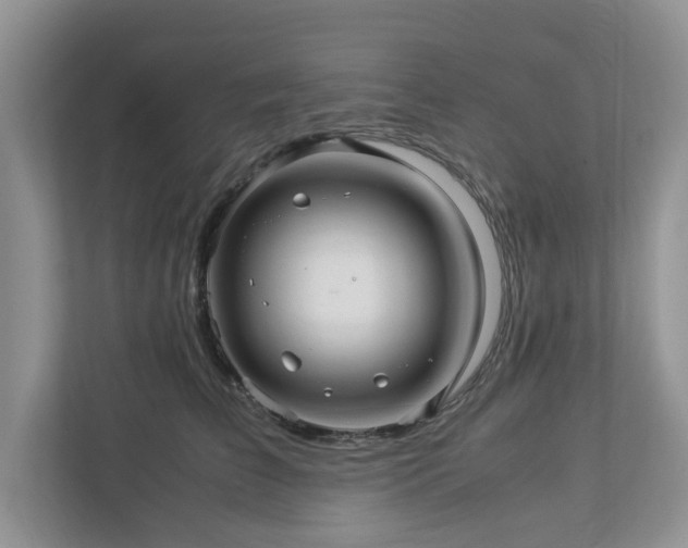 X0000112950709200908241343