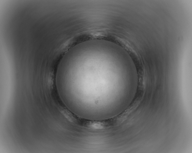 X0000112950710200908241343