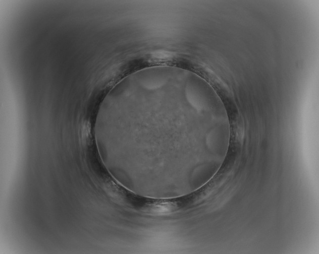 X0000112950711200908241343