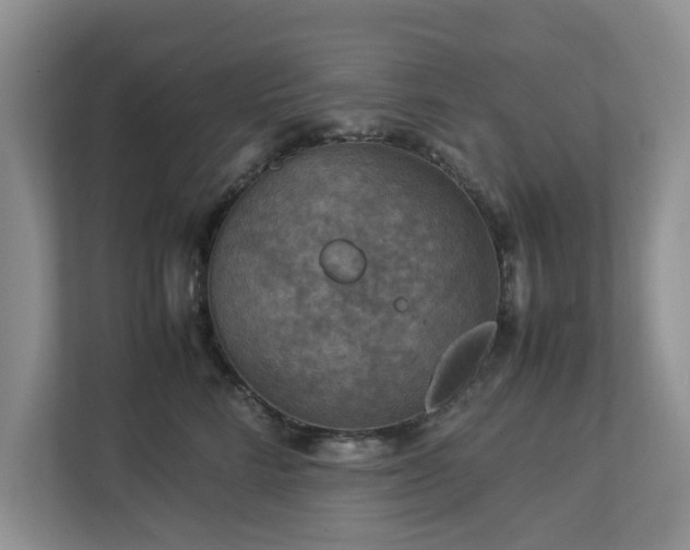 X0000112950712200908241343