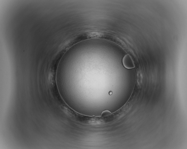 X0000112950714200908241343