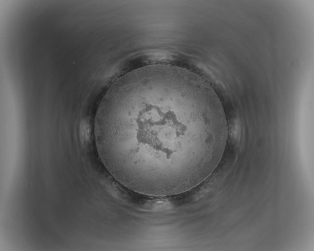 X0000112950715200908241343