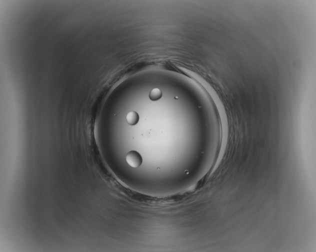 X0000112950716200908241343