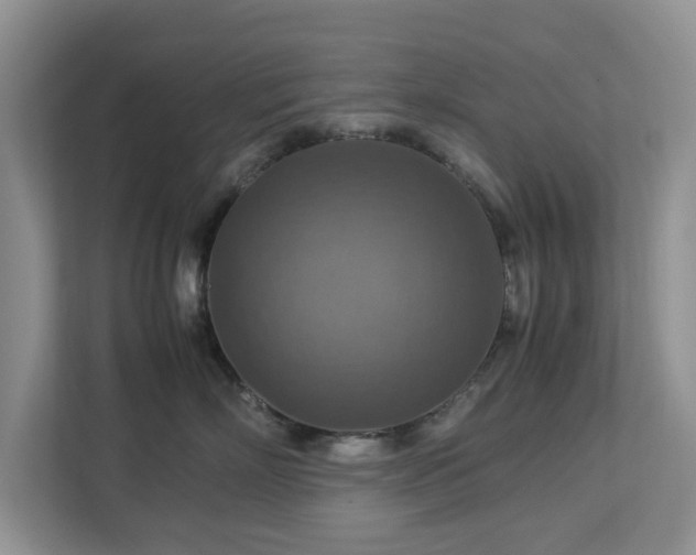 X0000112950718200908241343