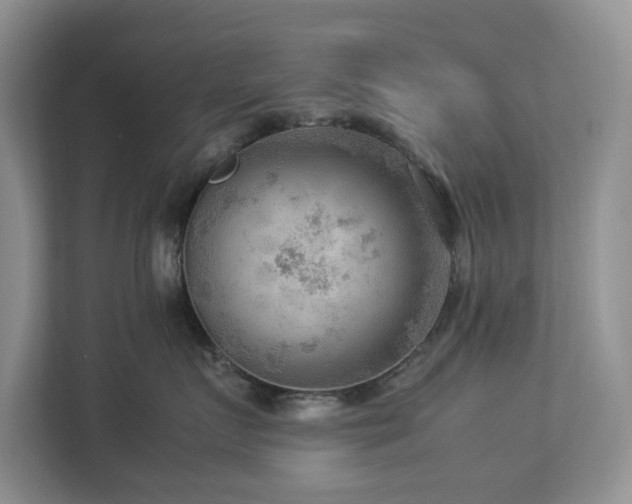 X0000112950719200908241343