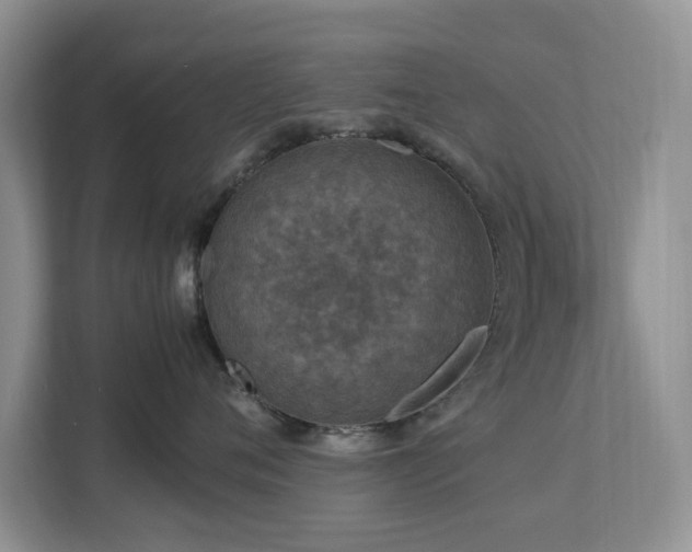 X0000112950720200908241342