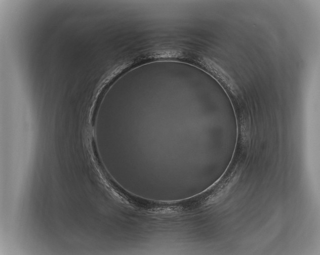 X0000112950721200908241342