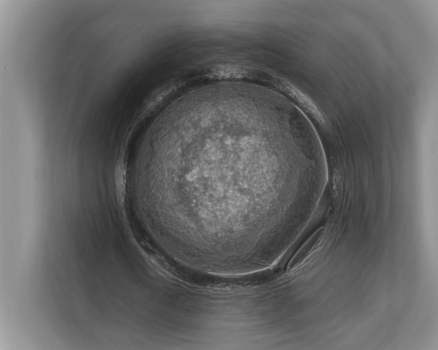 X0000112950722200908241342