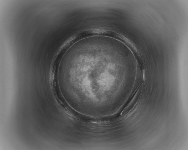 X0000112950723200908241342