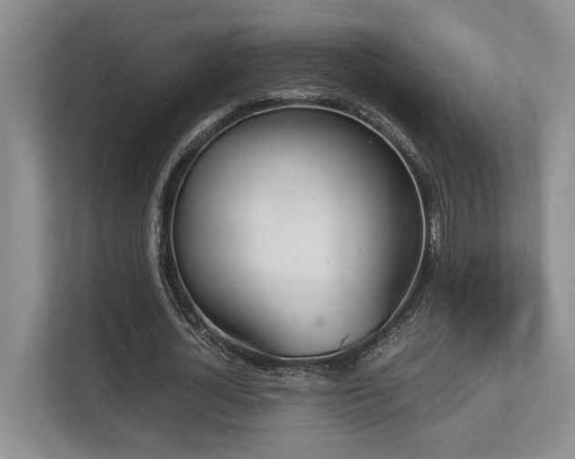 X0000112950724200908241342