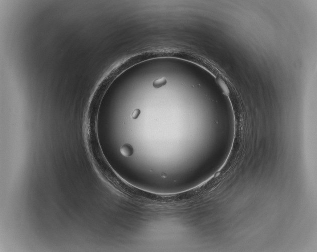 X0000112950726200908241342