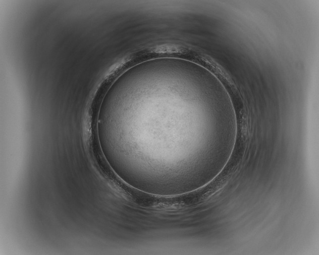 X0000112950727200908241342