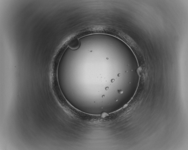 X0000112950728200908241342